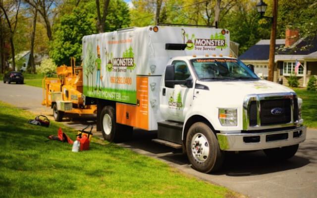 Monster Tree Service Franchise Authority Brands